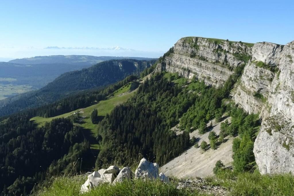 Studio « Le Petit Montagnard » Malbuisson Buitenkant foto